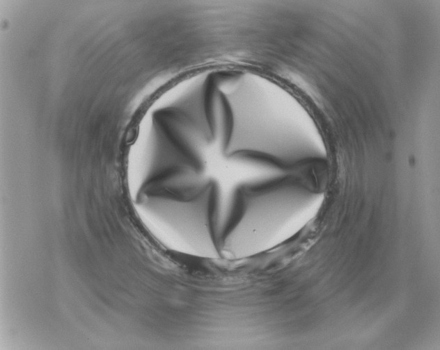 X0000071341308200607212022