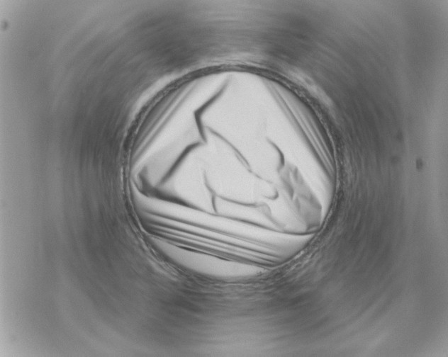 X0000071341316200607212022