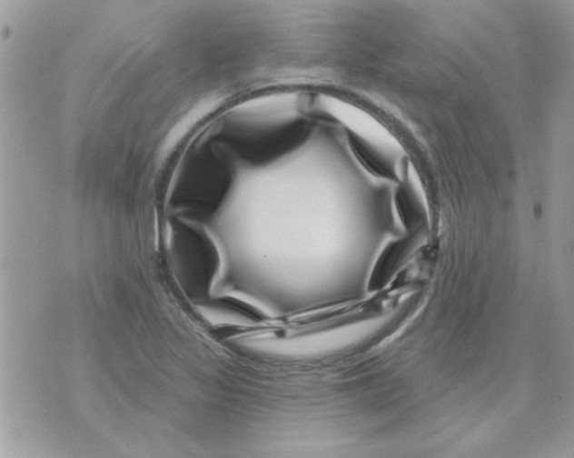 X0000071341317200607212022