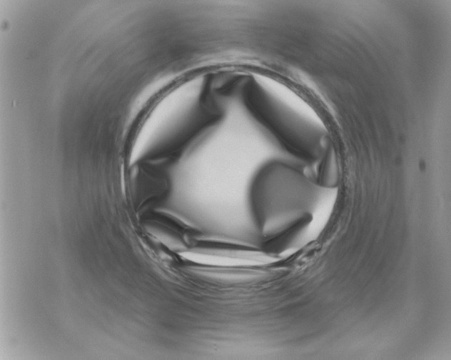 X0000071341320200607212022