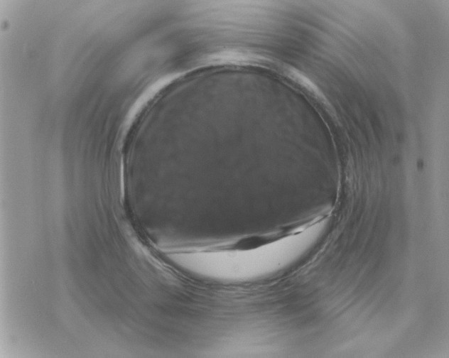 X0000071341323200607212022