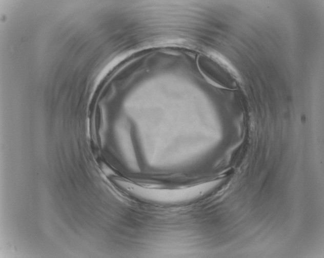 X0000071341324200607212022