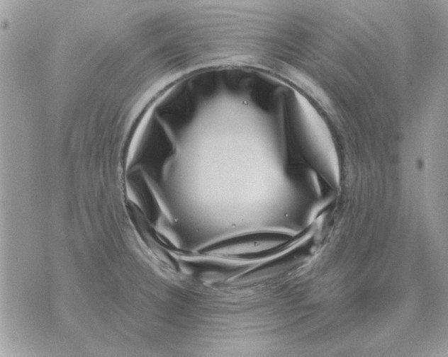 X0000071341332200607212022