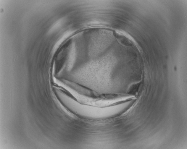 X0000071341333200607212022
