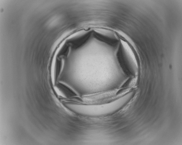 X0000071341341200607212022