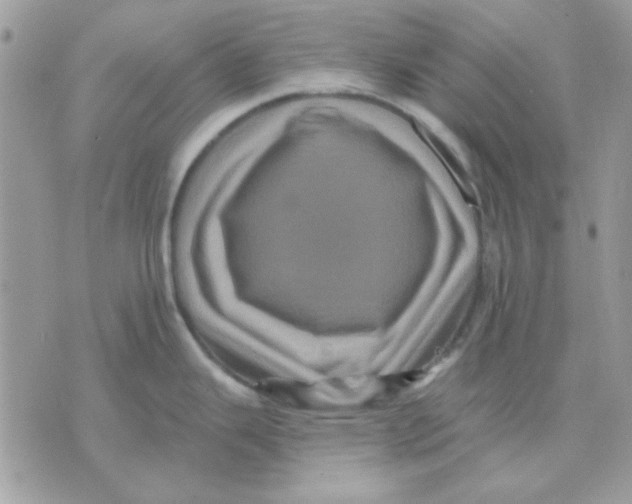 X0000071341343200607212023