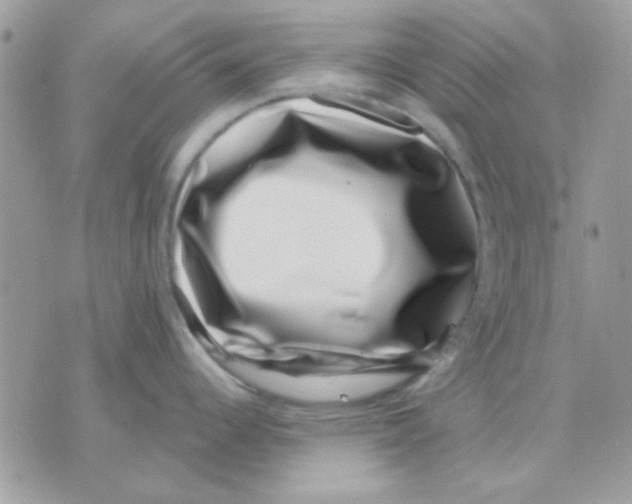 X0000071341344200607212023