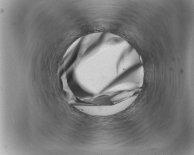 X0000071341345200607212022