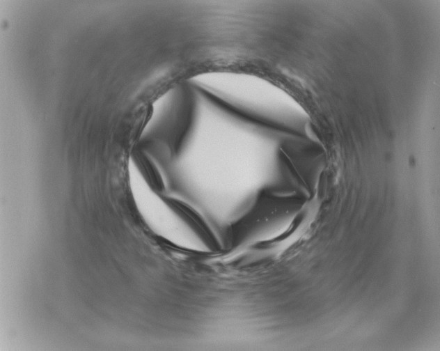 X0000071341349200607212022