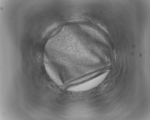 X0000071341351200607212022
