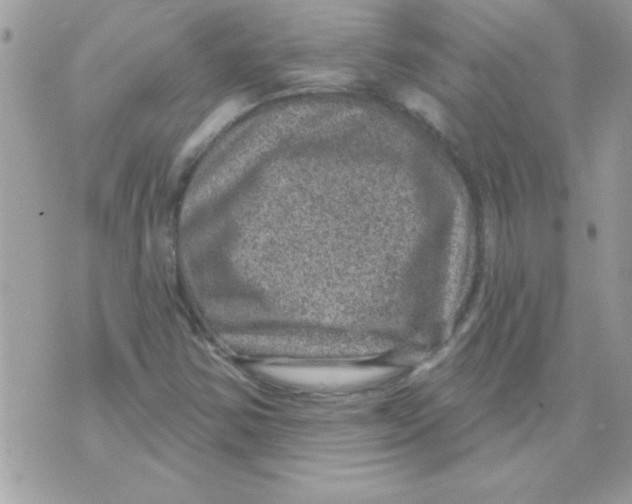 X0000071341354200607212022
