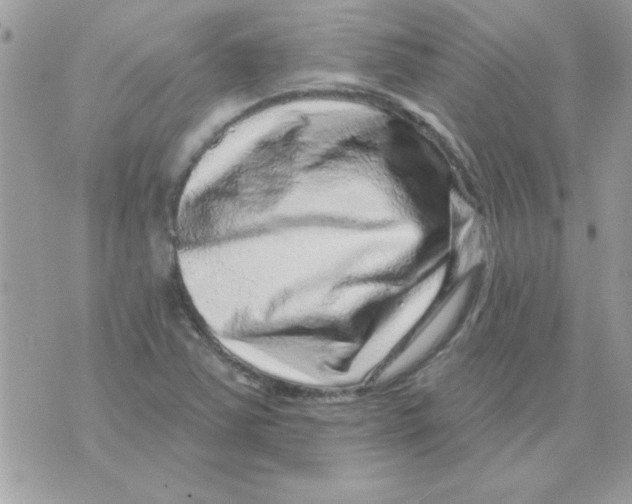 X0000071341363200607212021