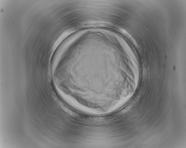 X0000071341370200607212021
