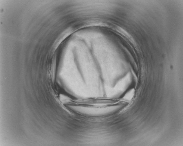 X0000071341377200607212021