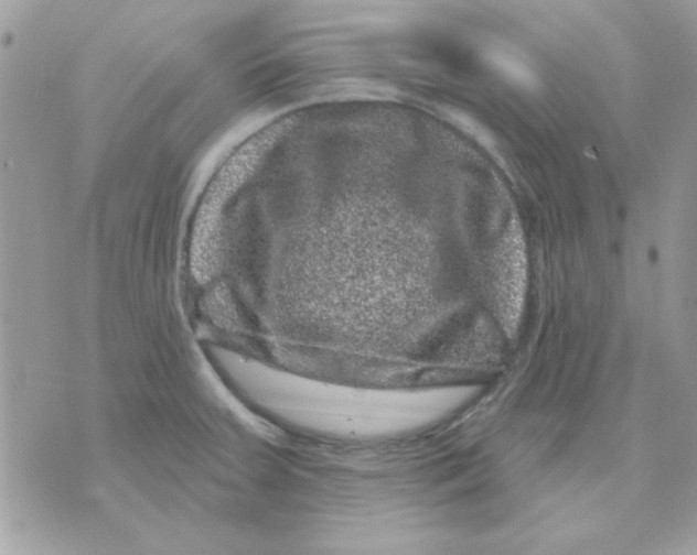 X0000071341379200607212021