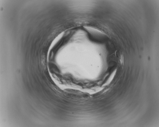 X0000071341396200607212020