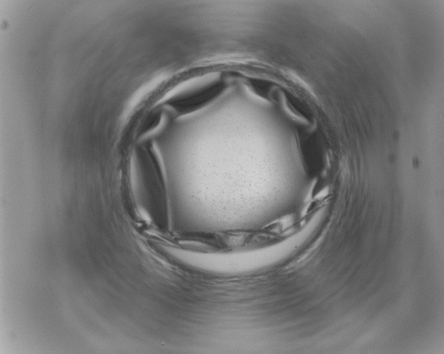 X0000071341406200607212020