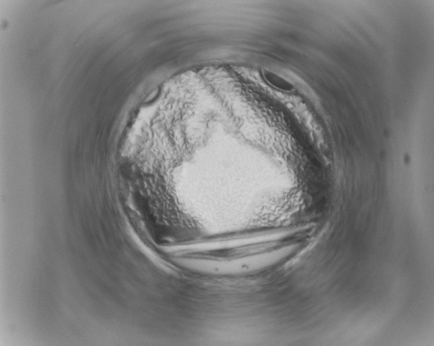X0000071341429200607212021