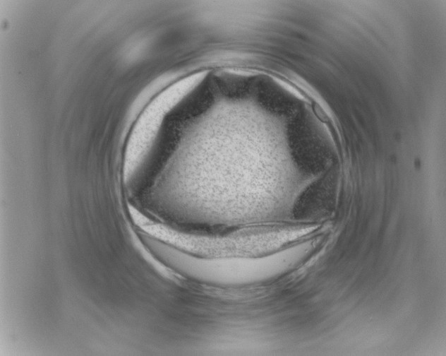 X0000071341437200607212021