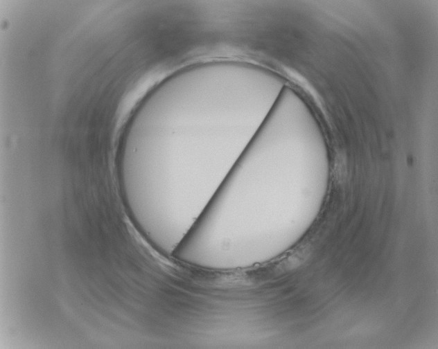 X0000071341464200607212020