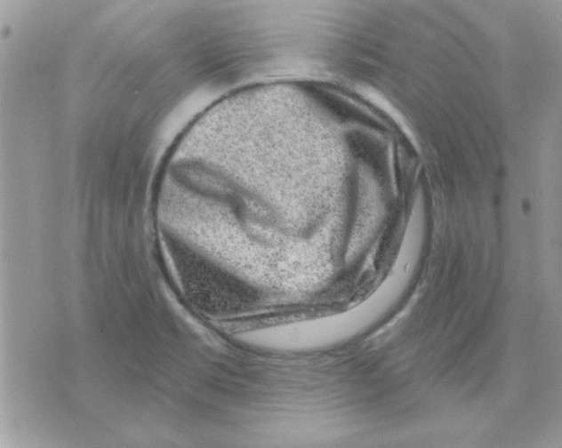 X0000071341469200607212020