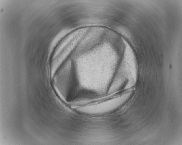 X0000071341472200607212020