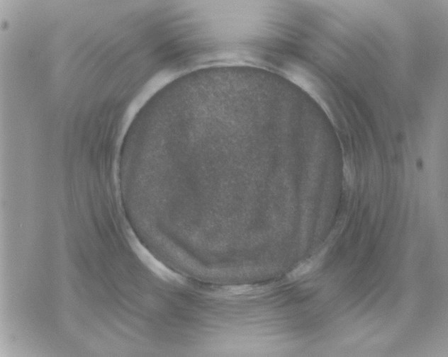 X0000071341482200607212020