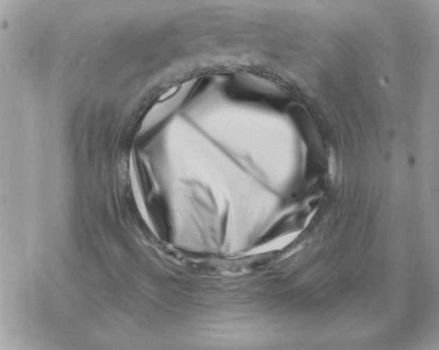X0000071341492200607212019