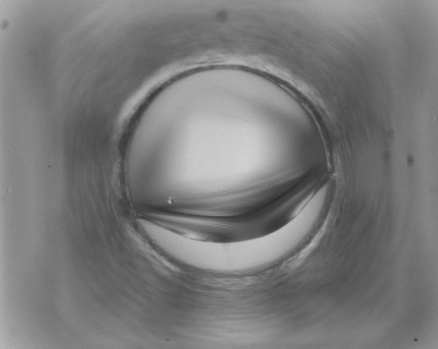 X0000071341502200607212019