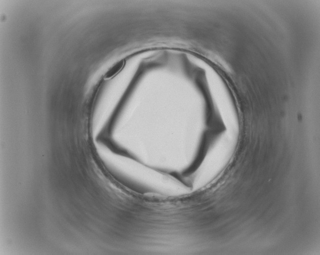 X0000071341504200607212019