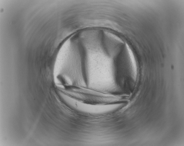 X0000071341505200607212019