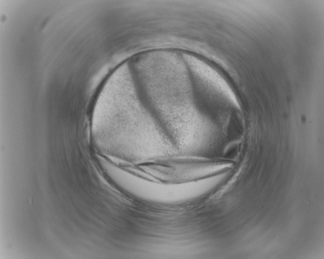 X0000071341509200607212019