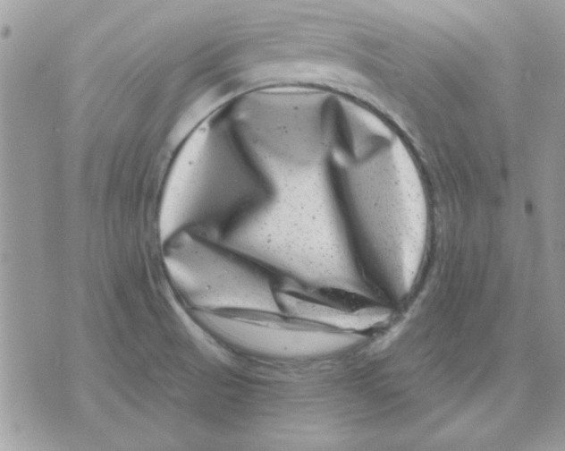 X0000071341521200607212019