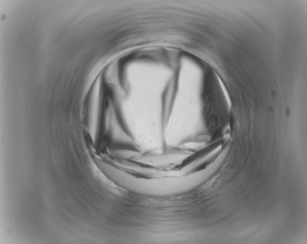 X0000071341532200607212019