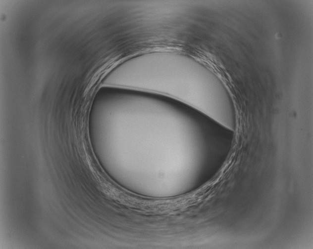 X0000071350001200606230813
