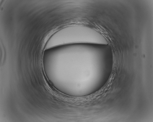 X0000071350003200606230813