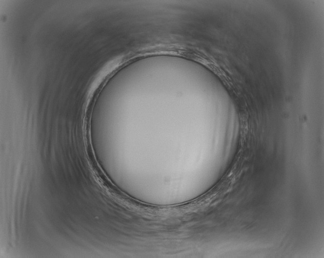 X0000071350006200606230813