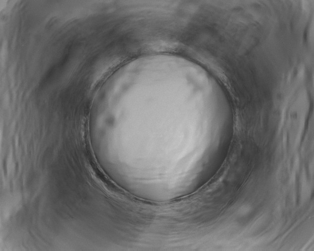 X0000071350010200606230813