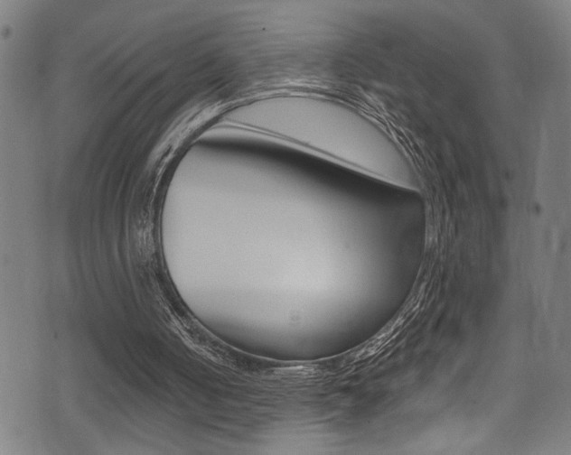 X0000071350050200606230812