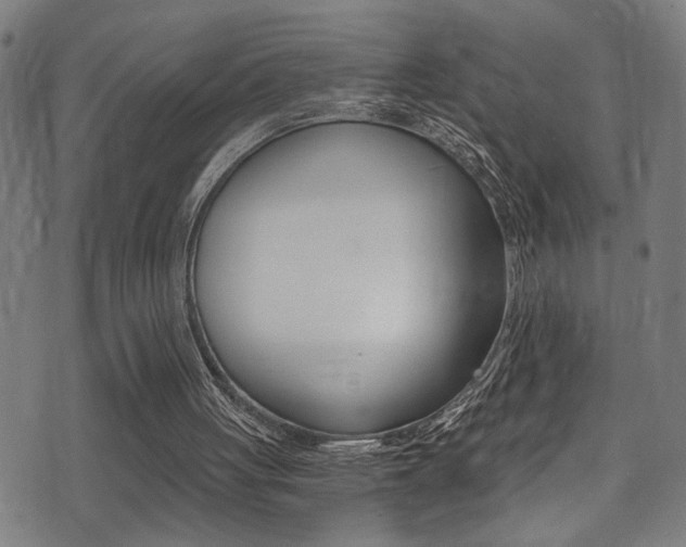 X0000071350051200606230812