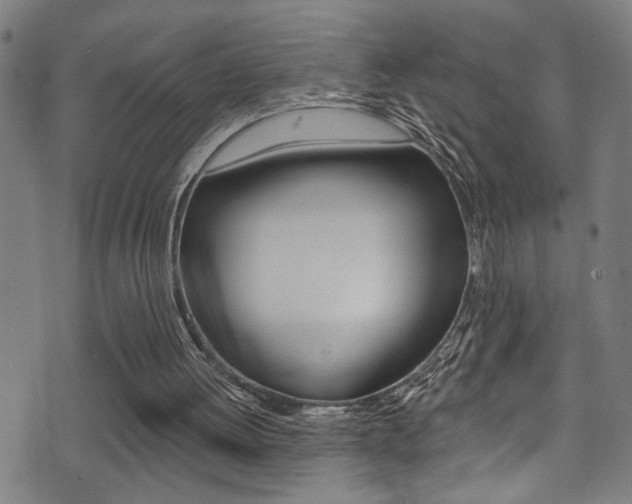 X0000071350052200606230812
