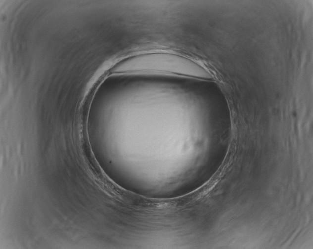 X0000071350056200606230812