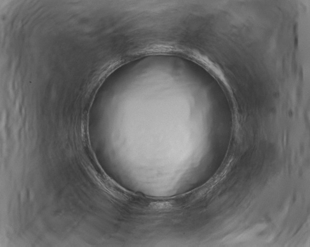 X0000071350057200606230812