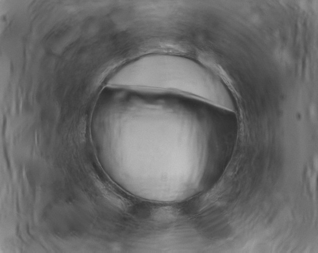 X0000071350058200606230812