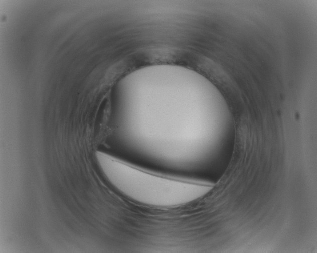 X0000071350079200606230812