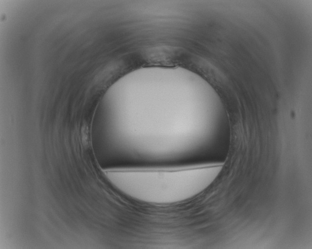 X0000071350081200606230812