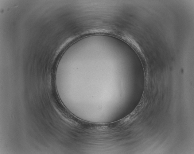 X0000071350108200606230812