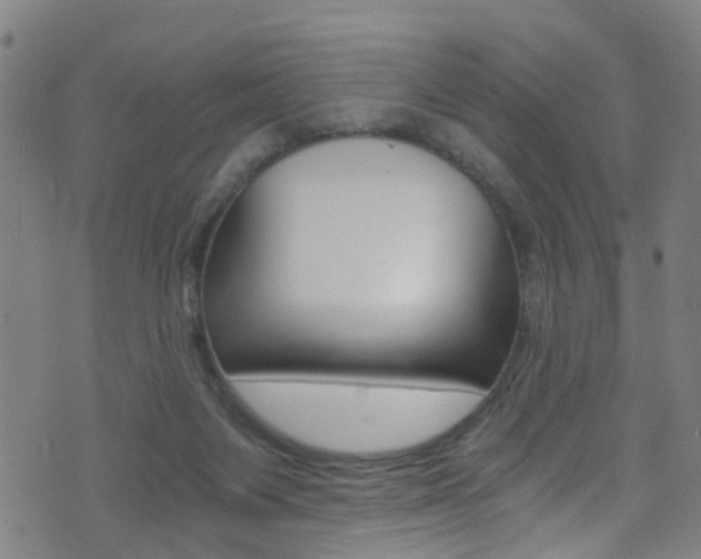 X0000071350119200606230811