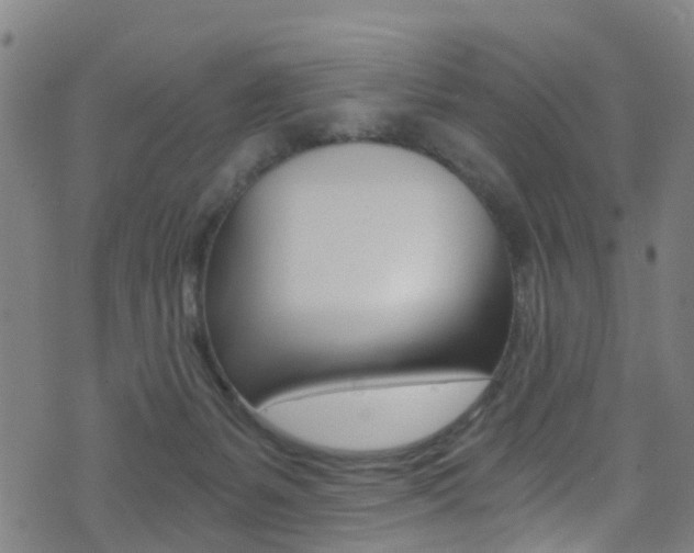 X0000071350127200606230811