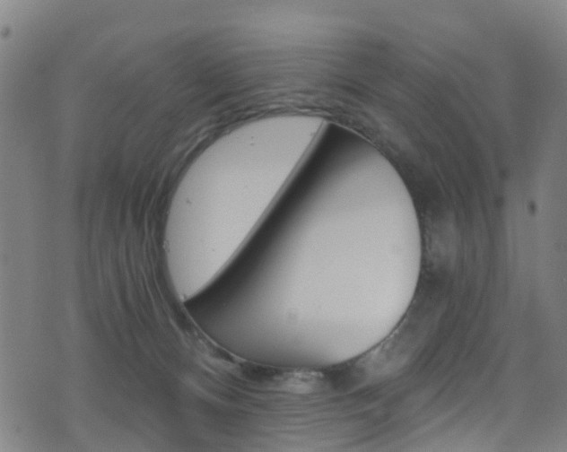 X0000071350128200606230811